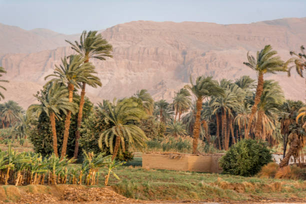 istock Mystery, history and Enjoy beautiful Nile Valley 843488484