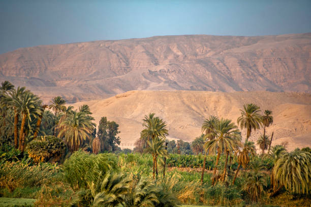 istock Mystery, history and Enjoy beautiful Nile Valley 843488516