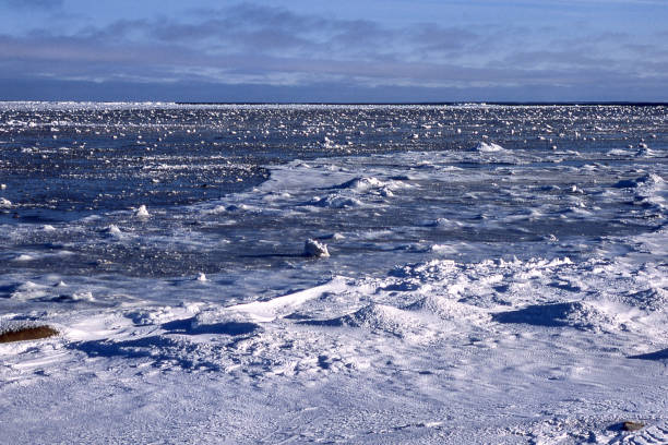 Snowy canadian arctic landscape, where a treeless environment is covered by snow and ice for a great deal of the time.