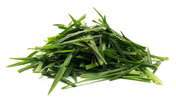 Isolated Pile Of Grass