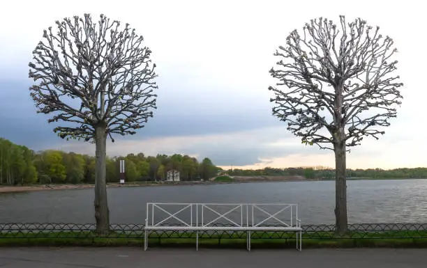 Photo of View of St Petersburg from park lands at Peterhof palace