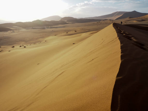 istock Natural curved ridge line, wind blow pattern and footprint on rusty red sand dune with strong sunlight on vast desert landscape with a traveler standing faraway, Sossus, Namib desert 843501946