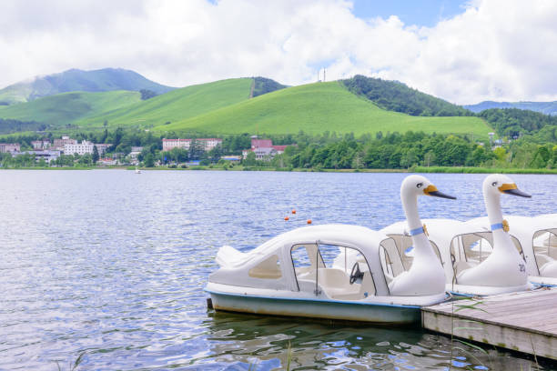 istock Swan boat lake. 843506070