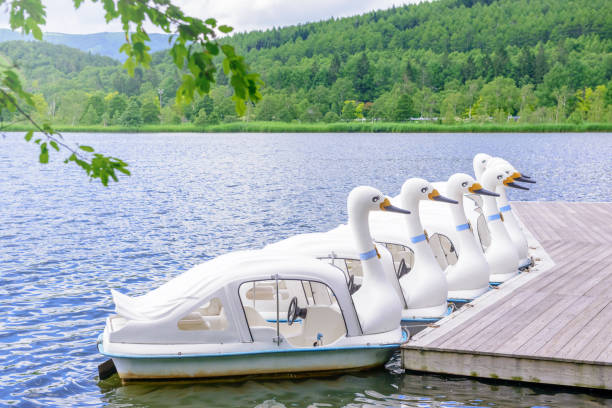 istock Swan boat lake. 843506282