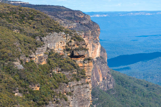 istock Blue mountains landscape of mountains and eucalyptus forest 843510130