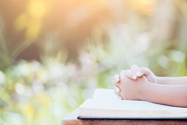 маленькая девочка руки сложены в молитве на библии - catholic girl стоковые фото и изображения