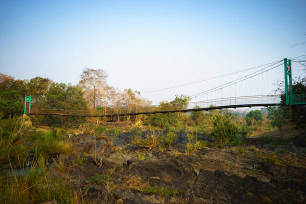 istock Suspension bridge over rock and tree 843514790