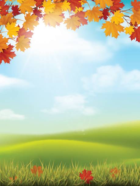 jesienny krajobraz trawa wzgórze klon oddział - falling vertical green grass stock illustrations