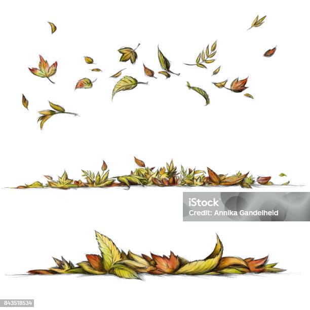Flying And Lying Leaves In Different Shapes And Colors Stock Illustration -  Download Image Now - iStock