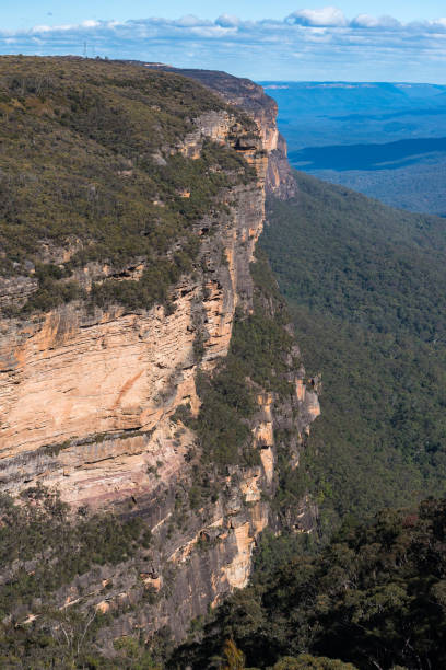 istock Blue mountains landscape of mountains and eucalyptus forest 843526048