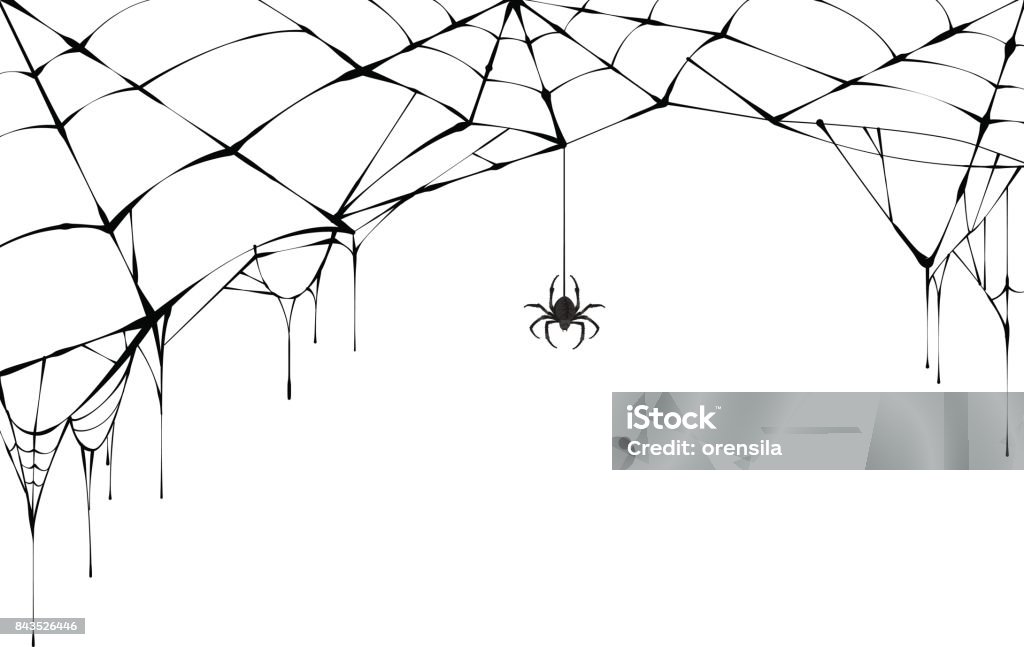 Ragno nero e ragnatela strappata. Ragnatela spaventosa del simbolo di Halloween - arte vettoriale royalty-free di Halloween