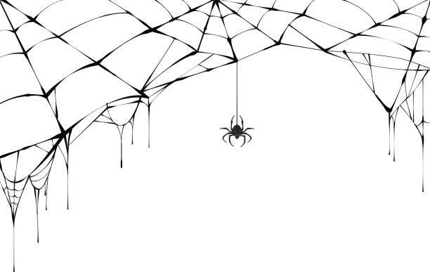 Black spider and torn web. Scary spiderweb of halloween symbol Black spider and torn web. Scary spiderweb of halloween symbol. Isolated on white vector illustration spider web stock illustrations