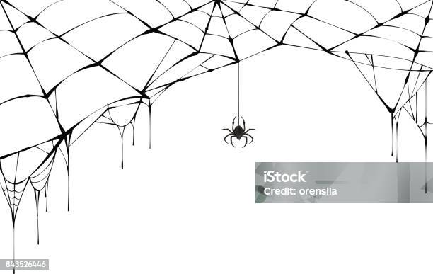 Black Spider And Torn Web Scary Spiderweb Of Halloween Symbol Stock Illustration - Download Image Now