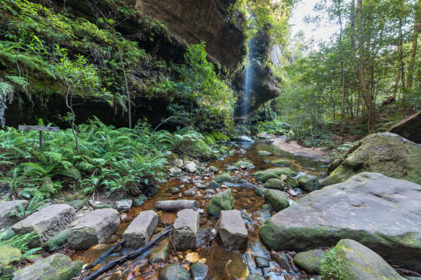 istock Grand Canoyn Walking Track in Blue Mountains 843526980