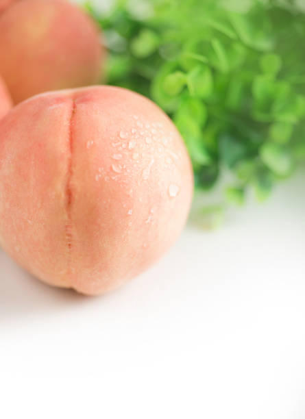 honey peach