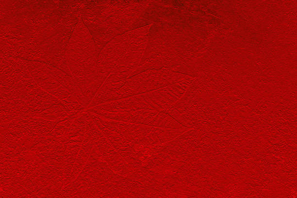 istock Red color texture pattern abstract background can be use as wall paper screen saver brochure cover page or for presentations background or articles background also have copy space for text. 843530514