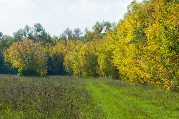 istock A wonderful time to fall 843538750