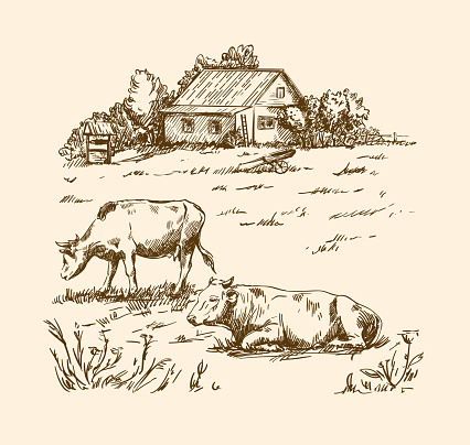 village houses and farmland. vector sketch drawn by hand on a grey background