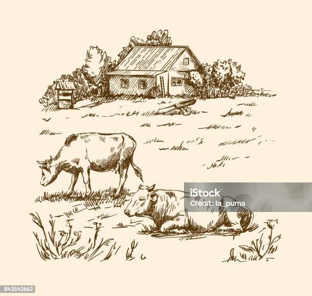 Village Houses And Farmland Stock Illustration - Download Image Now - Farm, Domestic Cattle, House