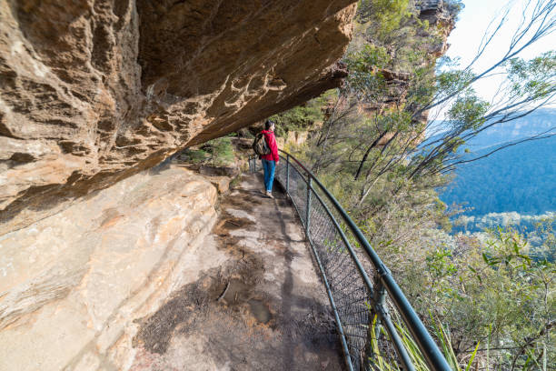 istock Hiking in Blue Mountain, Australia 843542728