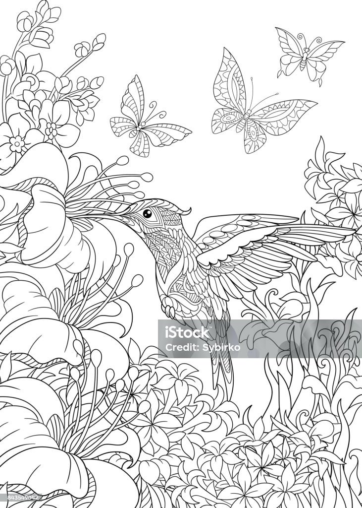 ハチドリや蝶 - 塗り絵のイラストのロイヤリティフリーベクトルアート