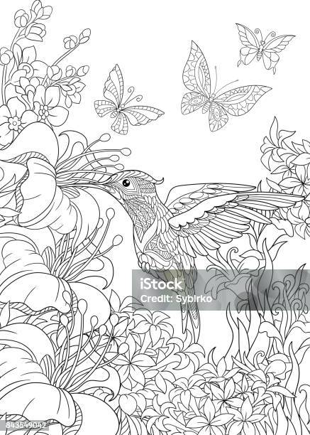 Hummingbird And Butterflies - Arte vetorial de stock e mais imagens de Página de livro de colorir - Técnica de ilustração - Página de livro de colorir - Técnica de ilustração, Adulto, Colorir