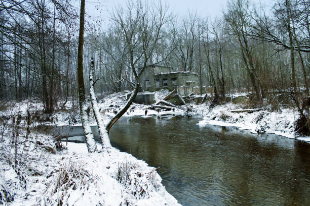istock Frosty morning in the winter forest. Beautiful landscape. 843549102