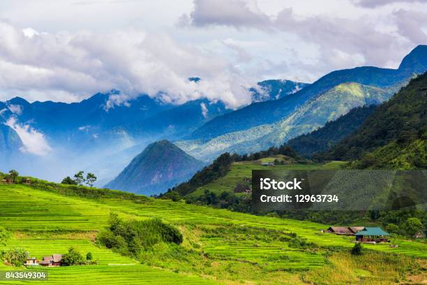 Landscape Of Green Valley And Layers Of Rice Fields In Sapa Vietnam Stock Photo - Download Image Now