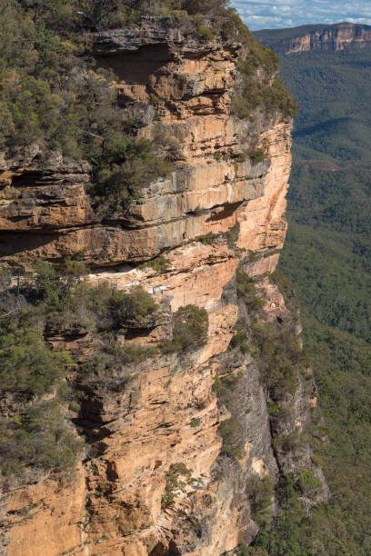 istock Blue mountains landscape of mountains and eucalyptus forest 843549832