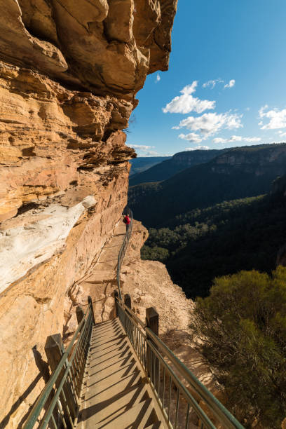istock Hiking in Blue Mountain, Australia 843554152