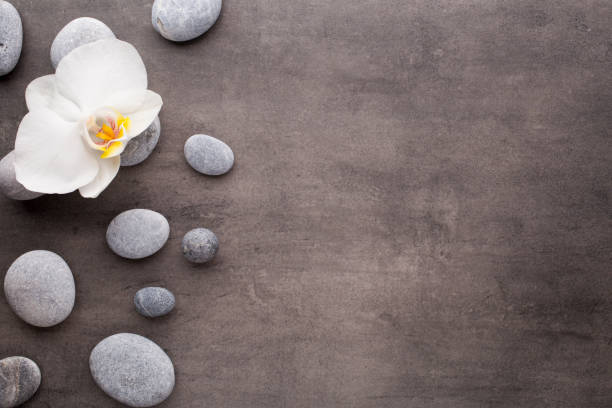 istock White orchid and spa stones on the grey background. 843554378