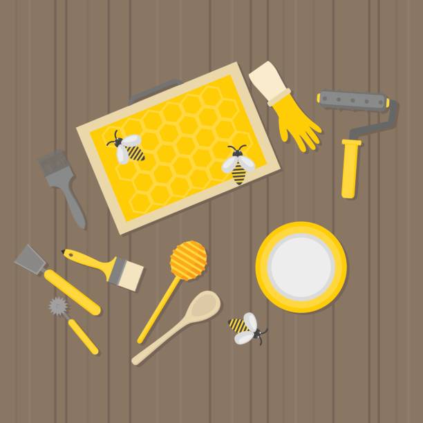 Flat design elements of Beekeeping and apiculture. Beekeeper Tools and equipment set. Apiary Instrument isolated. Honeycomb. Honey in jar. Flat design elements of Beekeeping and apiculture. Beekeeper Tools and equipment set. Apiary Instrument isolated. Honeycomb. Honey in jar hiver stock illustrations