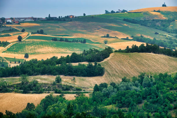 istock Oltrepo Pavese (Italy), rural landscape at summer 843558076