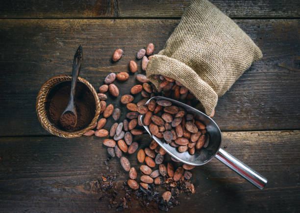 Organic cocoa powder stock photo