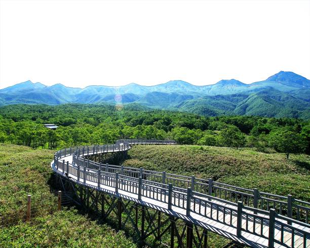 Shiretoko of the world natural heritage Shiretoko of the world natural heritage, a world heritage site with spectacular world heritage shiretoko mountains stock pictures, royalty-free photos & images