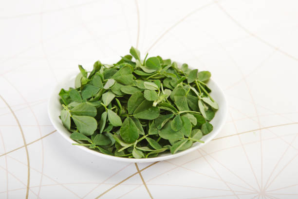 Green Methi or Fenugreek with Mortar and Pestle Green Methi or Fenugreek with Mortar and Pestle fenugreek stock pictures, royalty-free photos & images