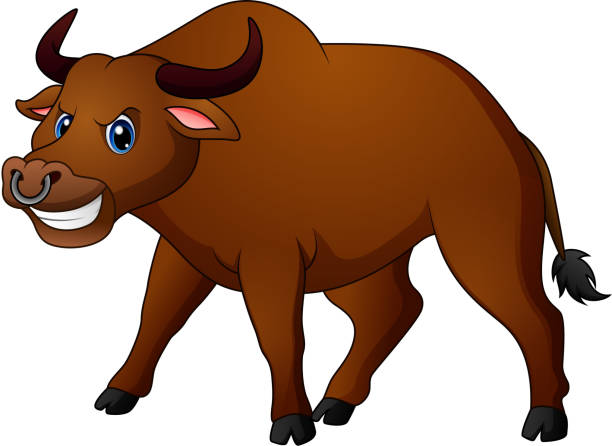Animal Water Buffalo Cartoon Fun Illustrations, Royalty-Free Vector Graphics & Clip Art - iStock Animal Water Buffalo Cartoon Fun Illustrations, Royalty-Free Vector Graphics & Clip Art - iStock