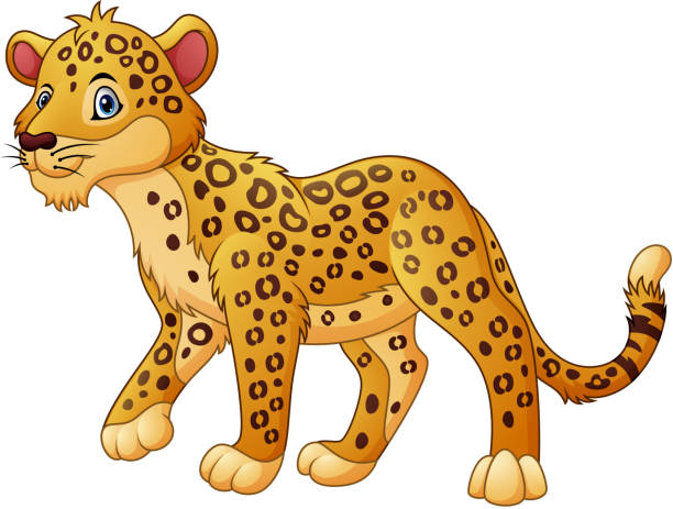 мультфильм леопард ходьба - детёныш stock illustrations
