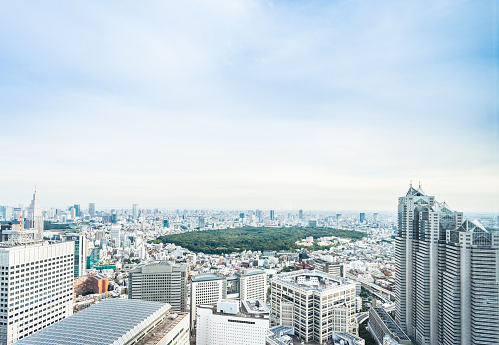 Business and culture concept - panoramic modern city skyline bird eye aerial view of Meiji Shrine under dramatic sun and morning blue cloudy sky in Tokyo, Japan
