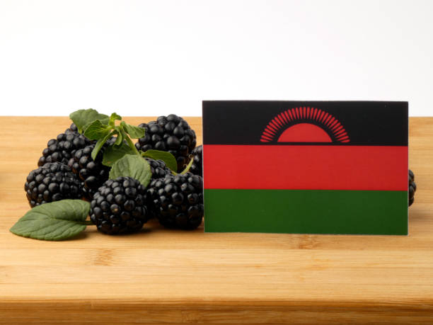 istock Malawi flag on a wooden panel with blackberries isolated on a white background 843577112