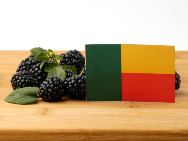 istock Benin flag on a wooden panel with blackberries isolated on a white background 843577390