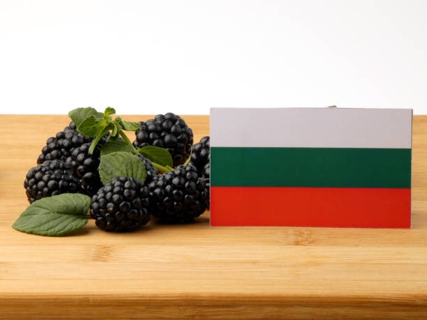 istock Bulgarian flag on a wooden panel with blackberries isolated on a white background 843578208