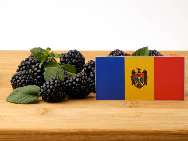 istock Moldovan flag on a wooden panel with blackberries isolated on a white background 843581690