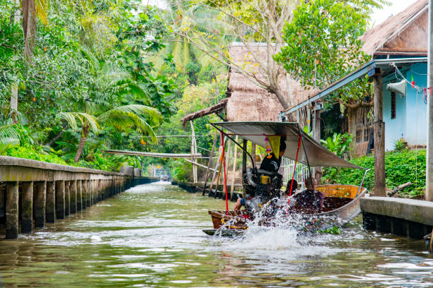 schwimmender markt, bangkok, thailand - stand up paddling stock-fotos und bilder