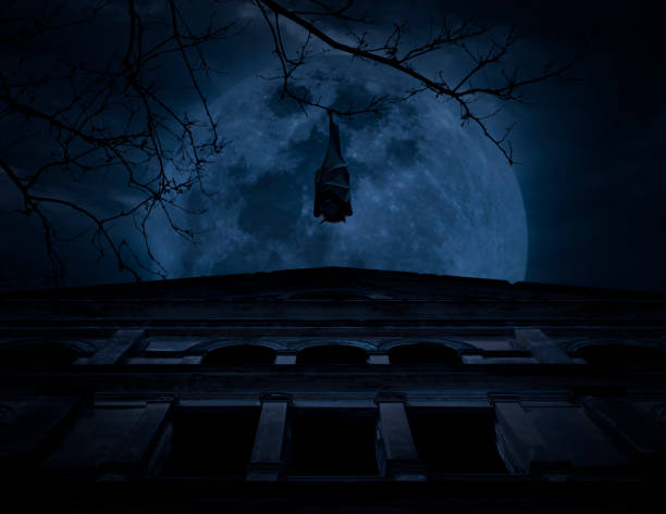 istock Bat hang on dead tree over old grunge castle, moon and cloudy sky 843582530