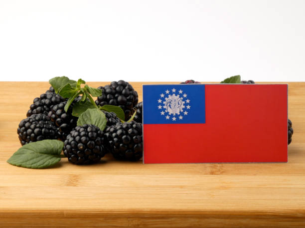 istock Myanmar flag on a wooden panel with blackberries isolated on a white background 843586054