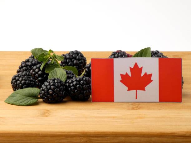 istock Canadian flag on a wooden panel with blackberries isolated on a white background 843586230