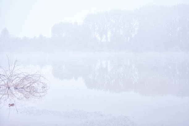 istock Misty morning in the pond 843586492