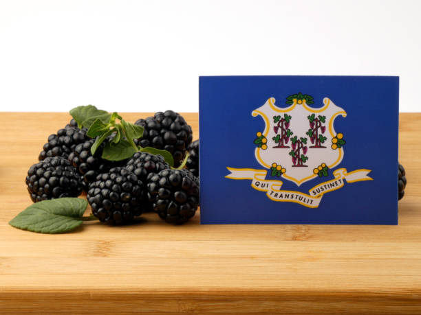 istock Connecticut flag on a wooden panel with blackberries isolated on a white background 843587078