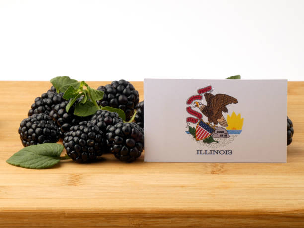 istock Illinois flag on a wooden panel with blackberries isolated on a white background 843587192